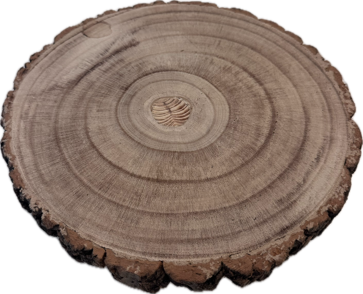 Wood Faux Tree Cutout Tray view 2