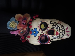 Day of the Dead Skull set view 4