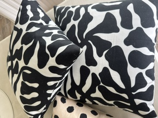 Large Throw Pillows — 20x20