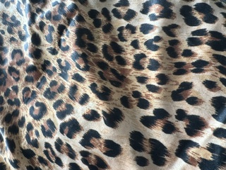 Set Cheetah Pillows