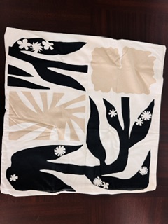Large Throw Pillows — 20x20 view 2