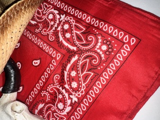 Red Paisly Bandana