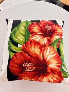 Pillows 18x18 reversible