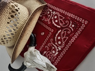 Red Paisly Bandana view 2