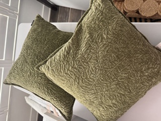 Set of 2 Sage Green Down Pillow — 20x20