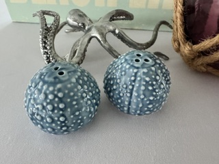 Shiny Silver Octopus