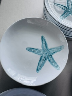 Starfish Plate Set of view 2