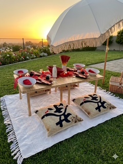 Japanese theme Picnic for 4 detail 1