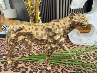 Leopard or Cougar detail 5